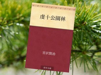 虔十公園林(宮沢賢治著)常不軽菩薩が杉林を育てる話