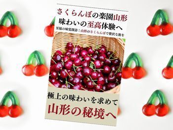 さくらんぼの楽園山形 味わいの至高体験へ: 至福の味覚探訪:山形のさくらんぼで贅沢な旅を(山形フルーツ侍 著) Kindle版