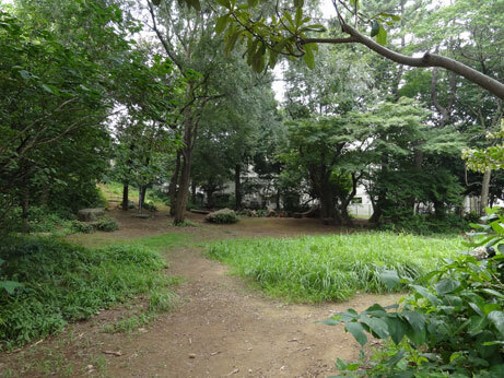 くさっぱら公園4.jpg