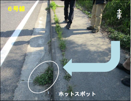 ホットスポット