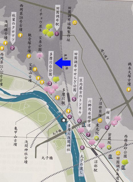 多摩川9_22.png