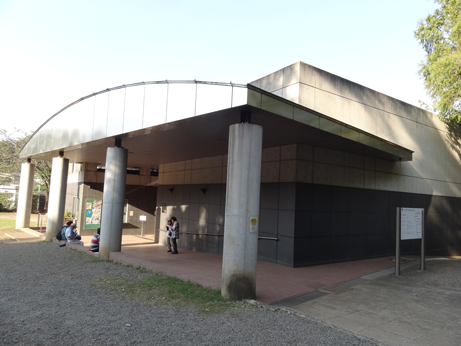 多摩川台公園古墳展示室1.png
