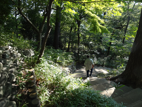 宝来公園
