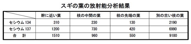 杉の葉の放射能分析結果