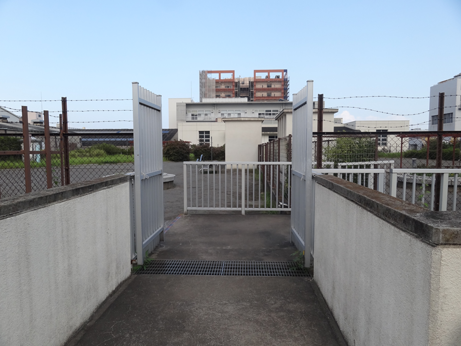 海老取川公園、階段を登ったところ.png