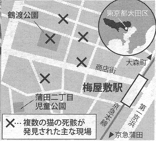 猫事件、現場地図.png