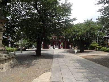 風鈴全景