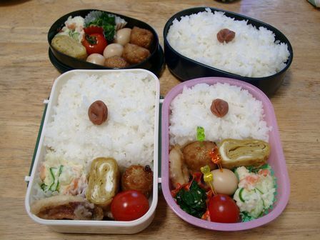 卵焼き入り弁当