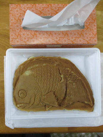 テッシュの長辺とほぼ同じ長さ