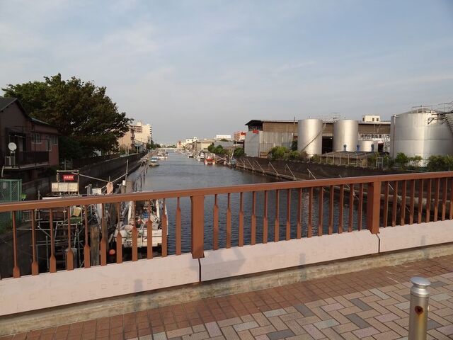 呑川の最下流