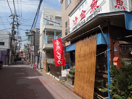 金魚屋さん