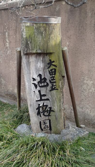 池上梅園